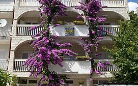 Apartments Cipetic